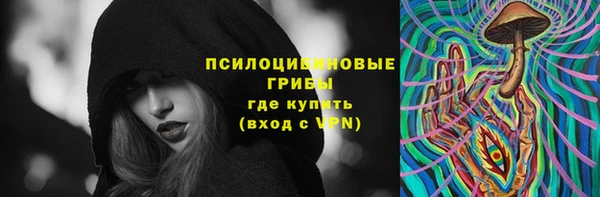 гашик Наволоки