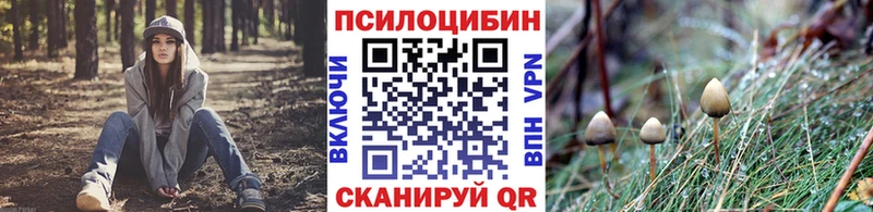 hydra маркетплейс  Фёдоровский  Псилоцибиновые грибы Psilocybe 